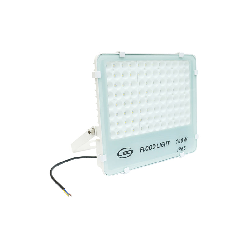 Proiettore LED 100W, 220V, 6500K, IP65, 310x270x50mm - immagine 3