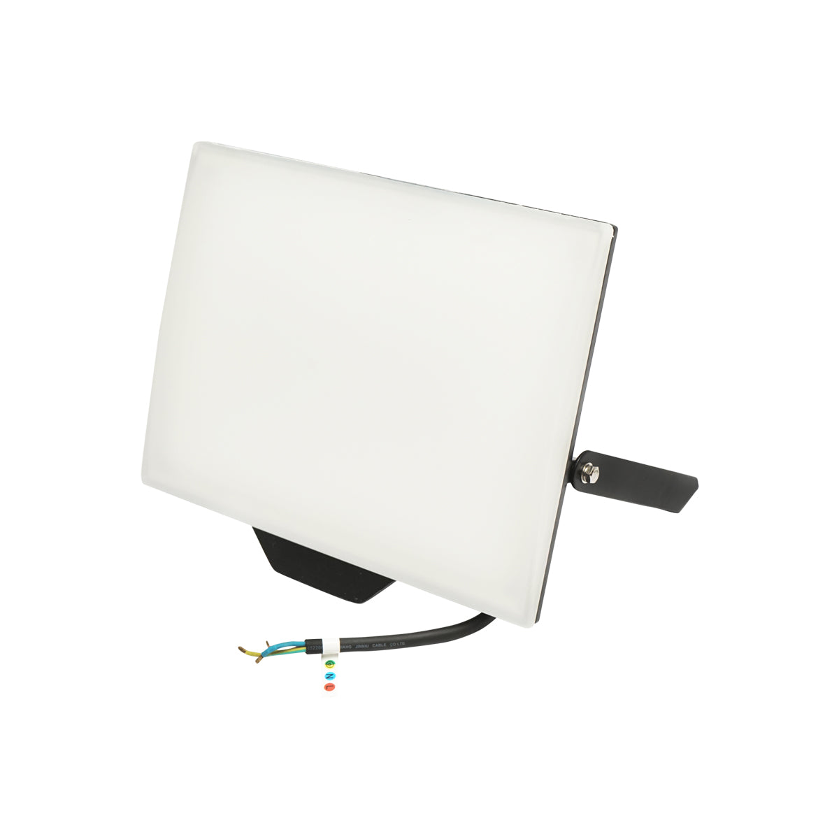 Proiettore LED 100W, 8000lm, 6400K, IP65 alimentazione 220V-240V - immagine 2