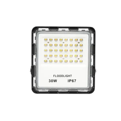 Proiettore LED 30W, 220V, 6500K, IP67, 180x170x32mm - immagine 2