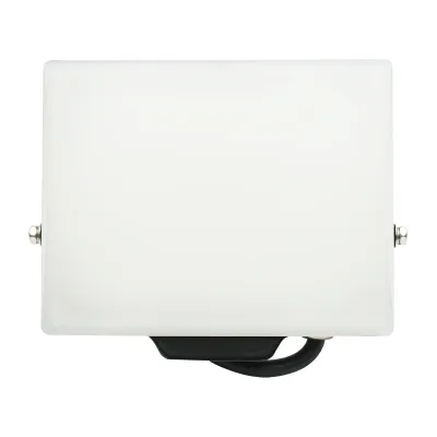 Proiettore LED 30W, 2400lm 6400K, IP65, alimentazione 220V-240V - immagine 2