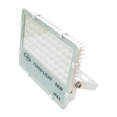 Proiettore LED 50W, 220V, IP65, 6500K, 250x215x45mm - immagine 3