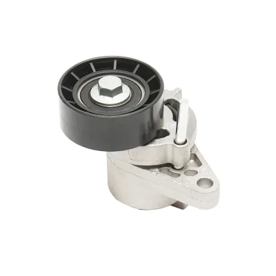 Puleggia tenditrice con molla per cinghia di trasmissione Dacia Logan benzina 8200603359 - immagine 3