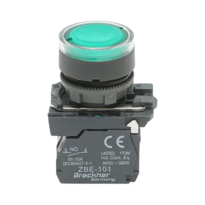 Pulsante con ritorno e segnalazione LED verde 1NO+1NC, 24V/10A, TB5 Breckner Germany