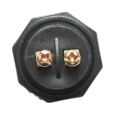 Pulsante di avviamento 12V/10A–24V/5A nero con 2 pin universale - immagine 4