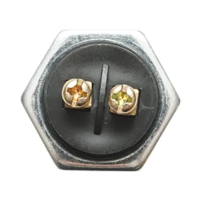 Pulsante di avviamento rosso universale a 2 pin 12V/10A–24V/5A - immagine 4