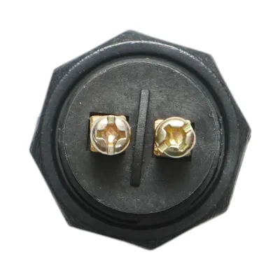 Pulsante di avviamento universale bianco a 2 pin 12V/10A–24V/5A - immagine 5