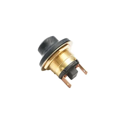 Pulsante di avviamento, motorino di avviamento per Massey Ferguson codice OEM 713722M91 con impugnatura da 22 mm - immagine 2
