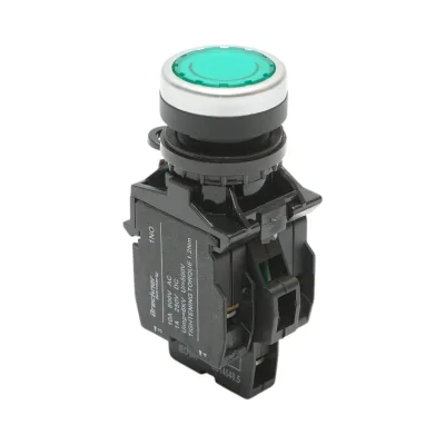 Pulsante di comando illuminato 220V AC LED verde con ritorno 1NO+1NC, 10A/600V AC, 1A/250V DC LA42 Breckner Germany