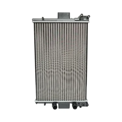 Radiatore di raffreddamento ad acqua Iveco Daily II, Daily III 810x455mm Codice OEM 5901797017590, 500396429, 504039041, 500303392, 504008108, FT55107