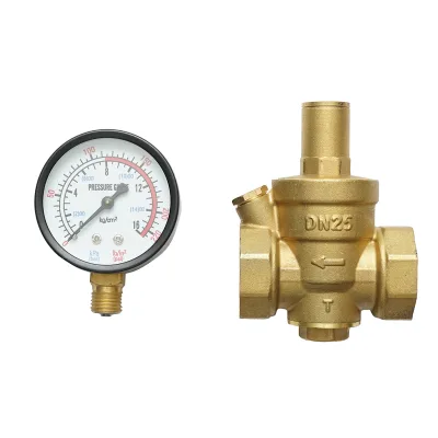 Regolatore di pressione dell'acqua 1-1 tol, regolabile con filtro e manometro DN25 per impianti solari residenziali