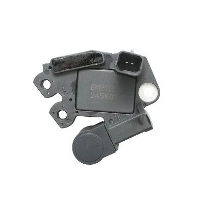 Relè alternatore Dacia Logan 120Ah/125Ah SG12B105 - immagine 2