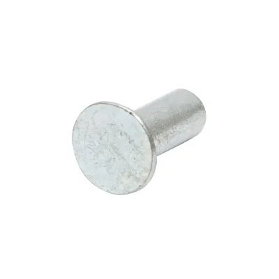 Rivetto in acciaio massiccio 20x7,8, diametro testa 14,8 mm - immagine 3