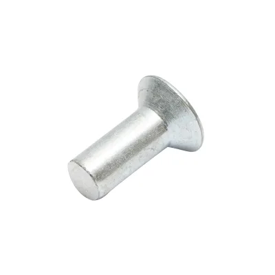 Rivetto in acciaio massiccio 20x7,8, diametro testa 14,8 mm - immagine 2