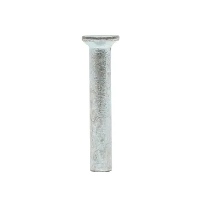 Rivetto in acciaio massiccio 30,5x4,8, diametro testa 8,5 mm