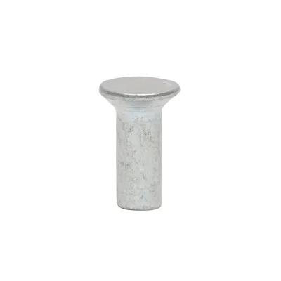 Rivetto in acciaio pieno 16,5x5,8, diametro testa 10,4mm