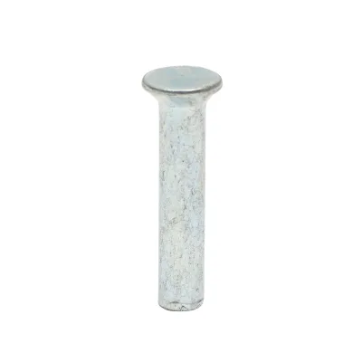 Rivetto in acciaio pieno 31x6, diametro testa 10mm