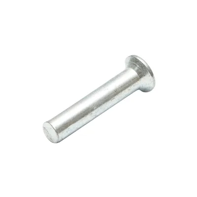 Rivetto in acciaio pieno 31x6, diametro testa 10mm - immagine 2