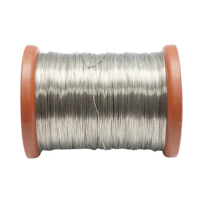 Rotolo di filo di acciaio inossidabile da 0,45 mm, 500 gr - immagine 2