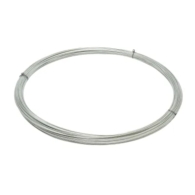 Rotolo di filo zincato da 2,5 mm, 5 kg