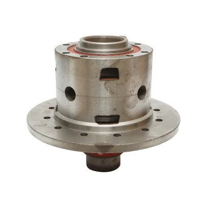 Scatola differenziale Massey Ferguson codice OEM 191170M91, 191170, 2521218K91, 25221218, 2260055M91 - immagine 2