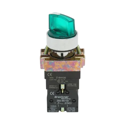 Selettore a 2 posizioni con blocco e indicatore di segnalazione LED verde 1NO+1NC, 24V, LAY5 Breckner Germany