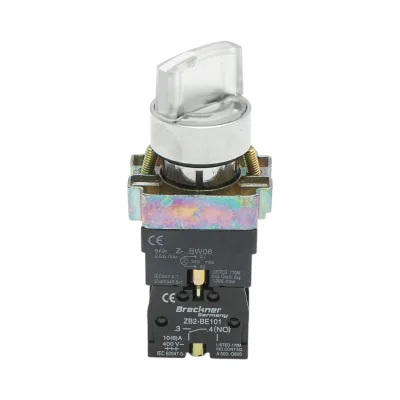 Selettore a 2 posizioni con ritenuta e indicatore di segnalazione a LED bianco 1NO+1NC, 24V, LAY5 Breckner Germany