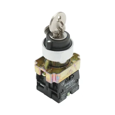 Selettore a 3 posizioni con blocco e chiave 2NO, 400V/10A, LAY5-BG33 Breckner Germany - immagine 2