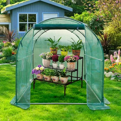 Serra da giardino 200×200×200 cm, telo verde in PE con rete 140 g/m² anti-UV, 1 porta, 4 finestre, tubo in acciaio zincato 19 mm THOR - immagine 3
