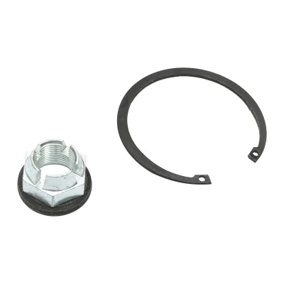 Set cuscinetti ruota posteriore Dacia Duster 4x4 402109533R - immagine 4