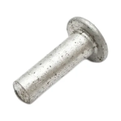 Set di 100 rivetti per pastiglie freno Fiat, New Holland, Massey Ferguson 16x4,5mm codice OEM 850197, MF05-0042 - immagine 3