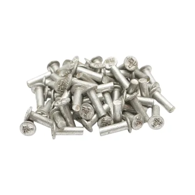 Set di 100 rivetti per pastiglie freno Fiat, New Holland, Massey Ferguson 16x4,5mm codice OEM 850197, MF05-0042