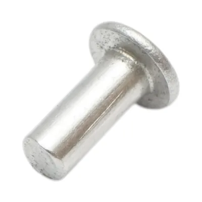 Set di 100 rivetti per pastiglie freno Fiat, New Holland, Massey Ferguson 5x13,5mm codice OEM 13868260 - immagine 3