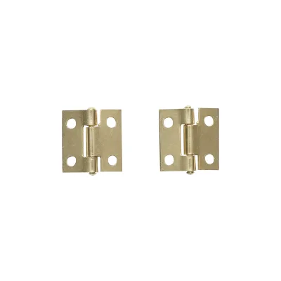 Set di 2 cerniere invisibili per mobili – 25 × 24 mm zincate con viti