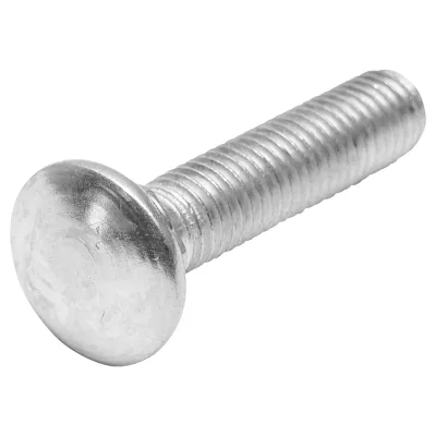 Set di 50 viti zincate per aratri DIN 603 M10x45mm - immagine 3