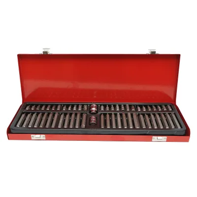 Set di 54 punte a brugola, torx, esagonali e scanalate Breckner Germany