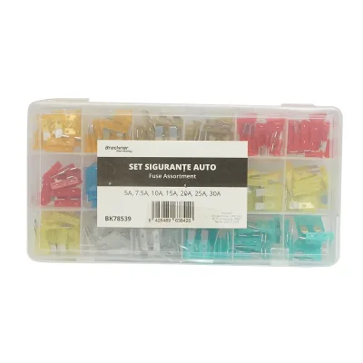 Set di 70 fusibili standard per auto combinati 5A-30A Breckner Germany - immagine 3