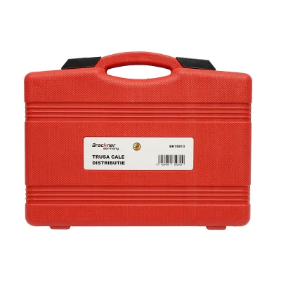 Set di bloccaggio distribuzione BMW N43 Breckner Germany - immagine 2