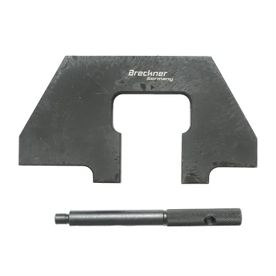 Set di blocchi per la distribuzione BMW M43, M70, M73, 2 pezzi, Breckner Germany
