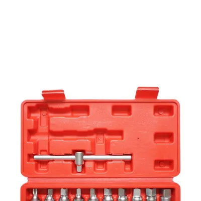 Set di chiavi per tappi coppa olio con profilo quadrato, esagonale, torx 21 pezzi Breckner Germany - immagine 4