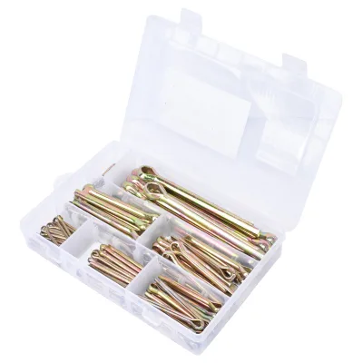 Set di spine 100 pezzi - immagine 2