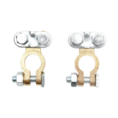 Set di terminali per batteria in bronzo con morsetto a vite Breckner Germany