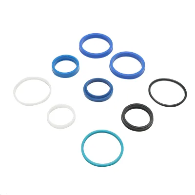 Set guarnizioni cilindro sterzo trattore forestale CH71 - immagine 2