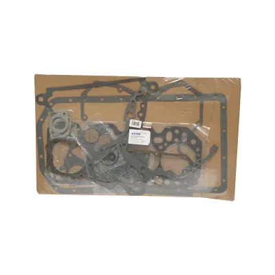 Set guarnizioni motore per John Deere Codici OEM: AR71998, AR79923, AR97178, AR97191, AT24968, RE12459, RE16922, RE37493, RE38857, RE501579, RE524748, AR100424, AR101101, AR103456, AR53371, VPA4410 - immagine 2