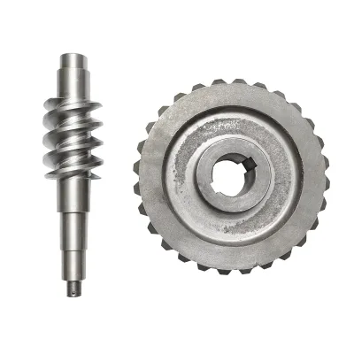 Set pignone con vite senza fine per verricello trattore forestale - immagine 4