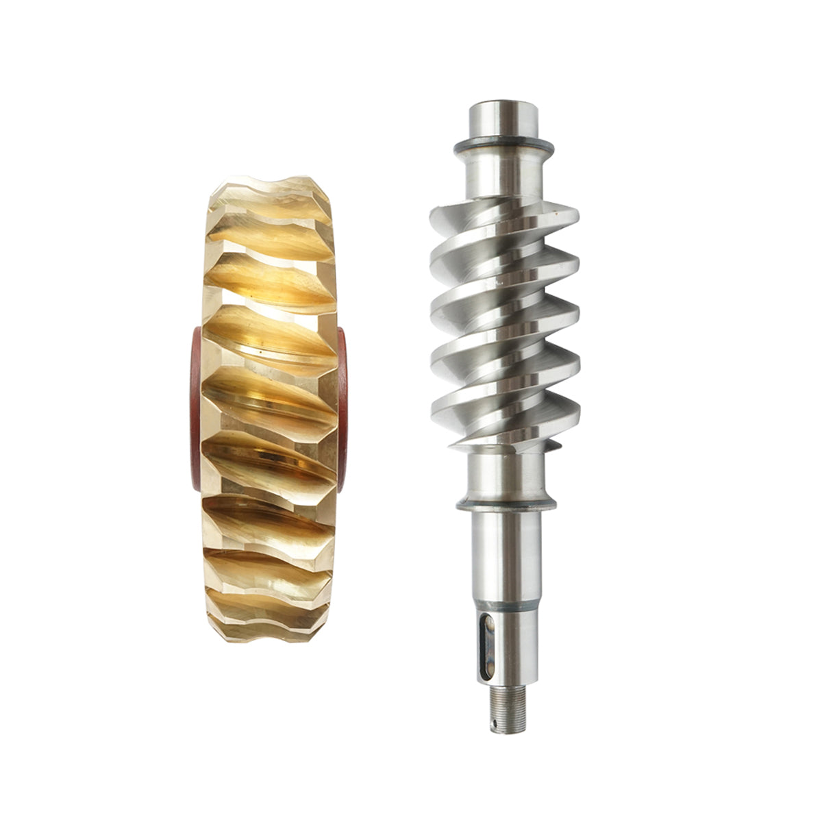 Set pignone in bronzo con vite senza fine per verricello di trattore forestale. - immagine 5