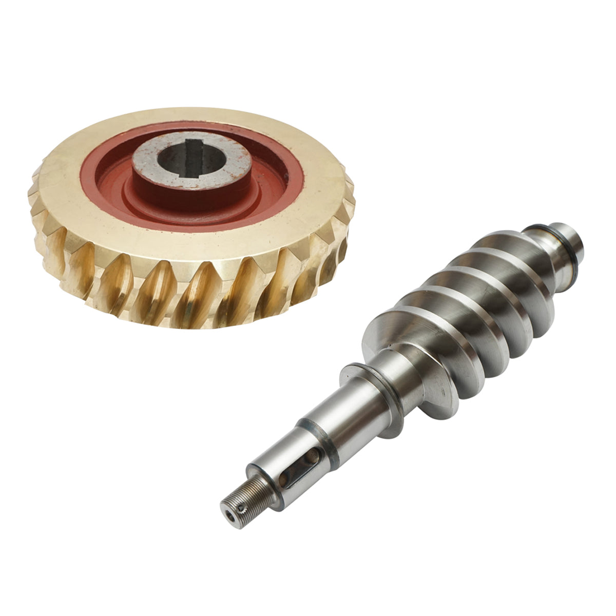 Set pignone in bronzo con vite senza fine per verricello di trattore forestale.