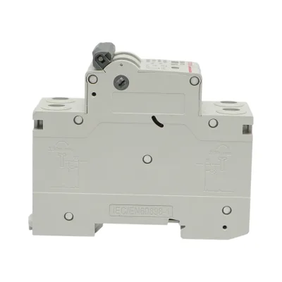 Sezionatore, interruttore automatico di sovraccarico 2P, 100A, 550VDC Longroad - immagine 2