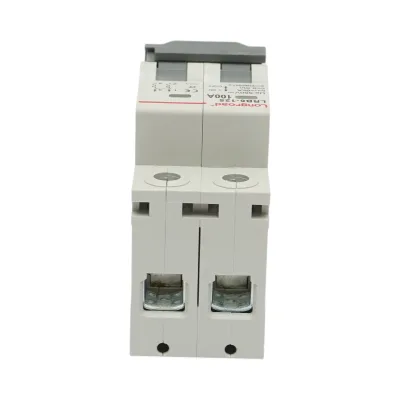 Sezionatore, interruttore automatico di sovraccarico 2P, 100A, 550VDC Longroad - immagine 6