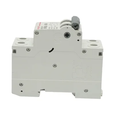 Sezionatore, interruttore automatico di sovraccarico 2P, 100A, 550VDC Longroad - immagine 4