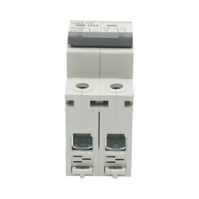 Sezionatore, interruttore automatico di sovraccarico 2P, 100A, 550VDC Longroad - immagine 3